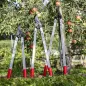 Preview: FELCO 221 Serie Astscheren im Vergleich