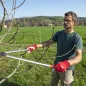 Preview: FELCO 231 Astschere professionelle Anwendung Baumschnitt