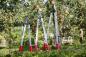 Preview: FELCO 221-90 Zweihand-Baum-, Reb-, Gartenschere | Länge 90 cm | ZIEHENDER Schneidkopf Modellübersicht