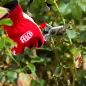 Preview: FELCO 100 Gartenschere Anwendung beim präzisen Pflanzenschnitt