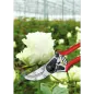 Preview: FELCO 100 Ernteschere für Blumen und empfindliche Pflanzen