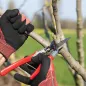 Preview: FELCO 13 Baumschere für kraftvolle Schnitte große Hände