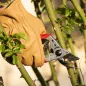 Preview: Felco 14 Gartenschere im Einsatz im Garten – ergonomisch und leicht