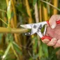 Preview: FELCO 32 schneidet Äste im Garten