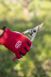 Preview: FELCO 13 Gartenschere - in einer Hand Rückseite
