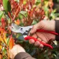 Preview: FELCO 4 Gartenschere bei der Anwendung im Garten