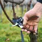 Preview: FELCO 6 Elite Gartenschere im Einsatz Ast schneiden