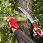 Preview: FELCO 604 Klappsäge im Einsatz am Baum