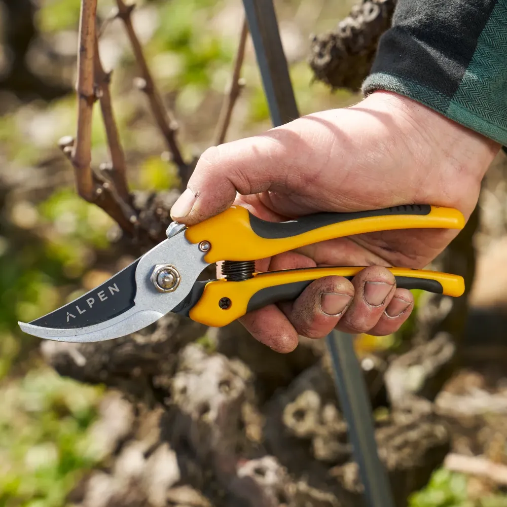 Preview: ALPEN Gelbhorn 140 Gartenschere Anwendung Astschnitt