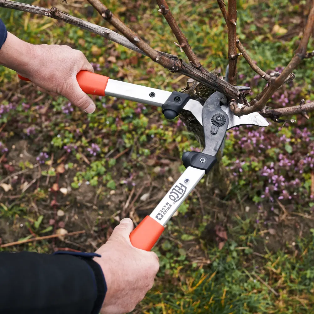 felco-211-40-astschere-rebschnitt