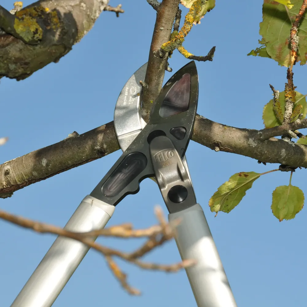 Preview: FELCO 231 Astschere Schneidkopf Amboss mit Getriebe Detail