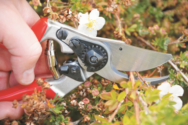 Felco 9 | Gartenschere | Hochleistung | Ergonomie | für Linkshänder | Feinschnitt