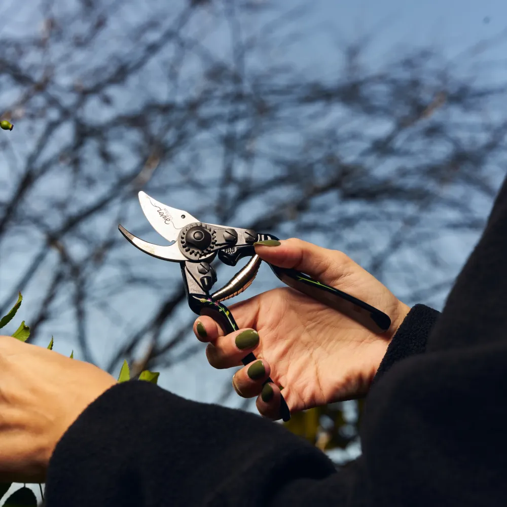 FELCO 6 Ed. Stephane Marie beim Rebschnitt