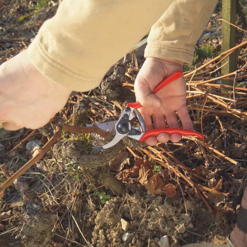 Preview: FELCO 11 Gartenschere präziser Schnitt im Garten
