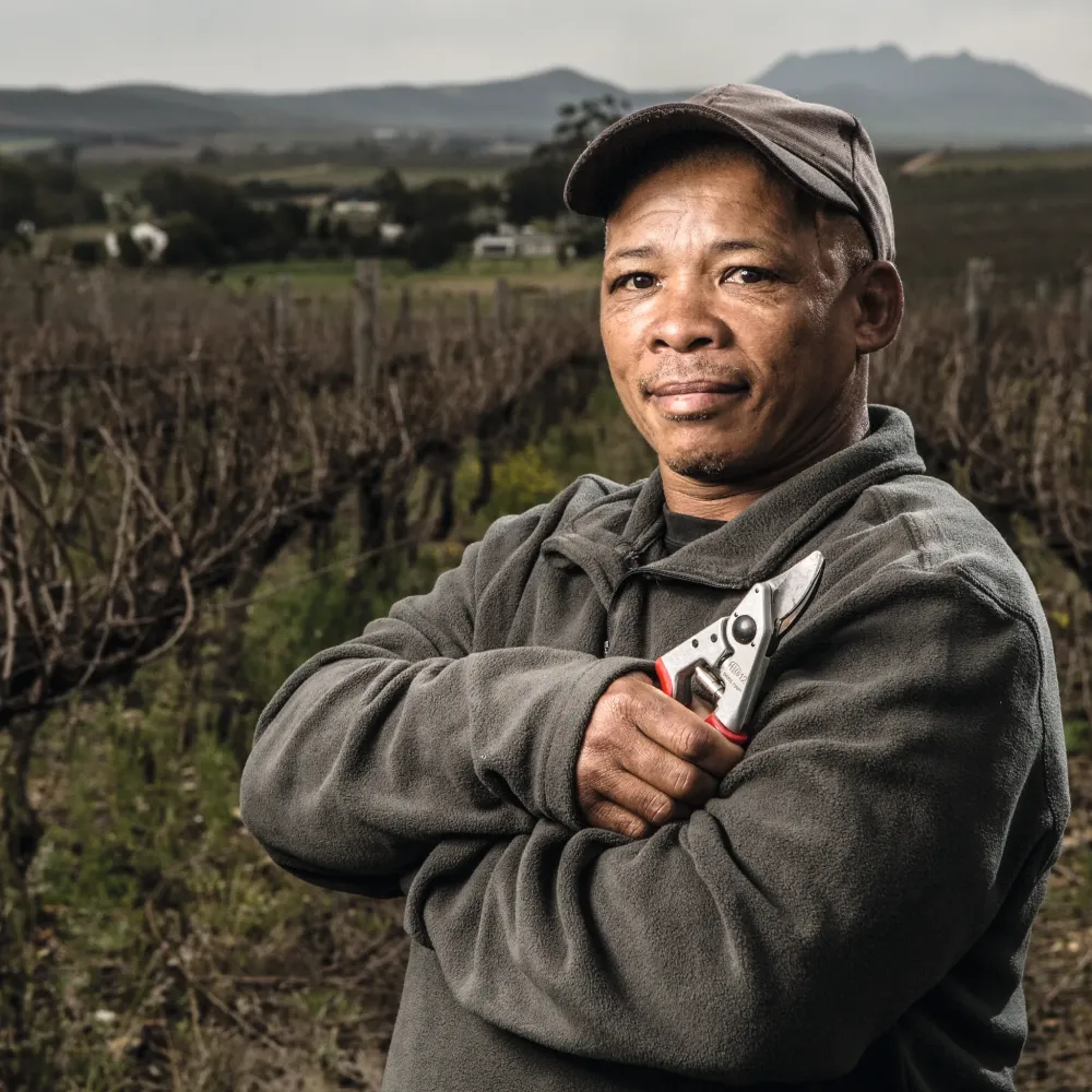 FELCO 12 Gartenschere professionelle Anwendung im Garten