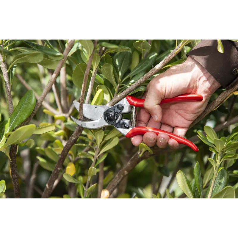 Preview: Felco 2 Gartenschere im Einsatz beim Schneiden von Ästen