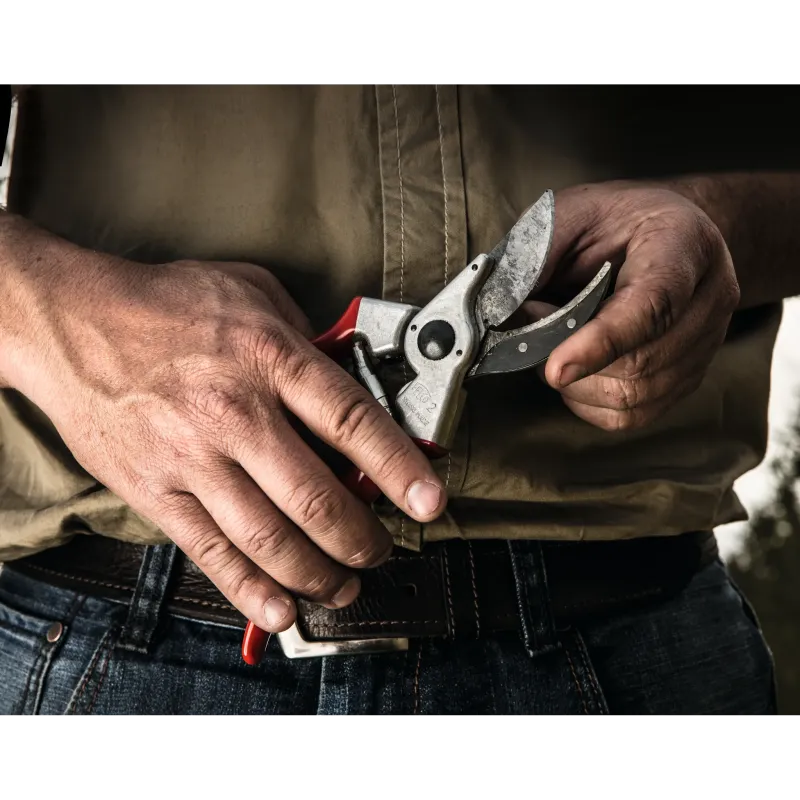 Felco 2 Gartenschere Detail der Mechanik und Feder