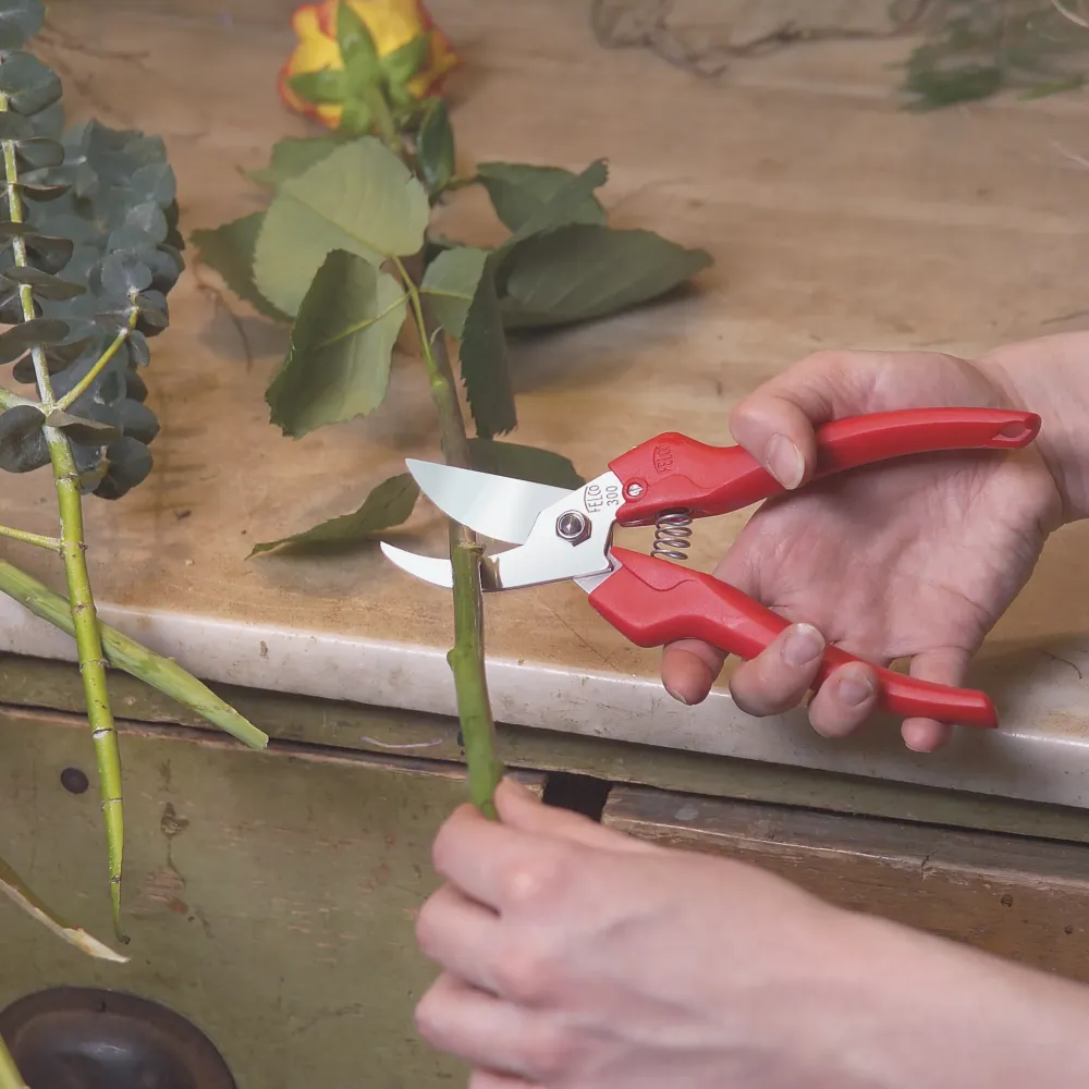 Preview: FELCO 300 Ernteschere Anwendung Schnitt Blumen und Triebe