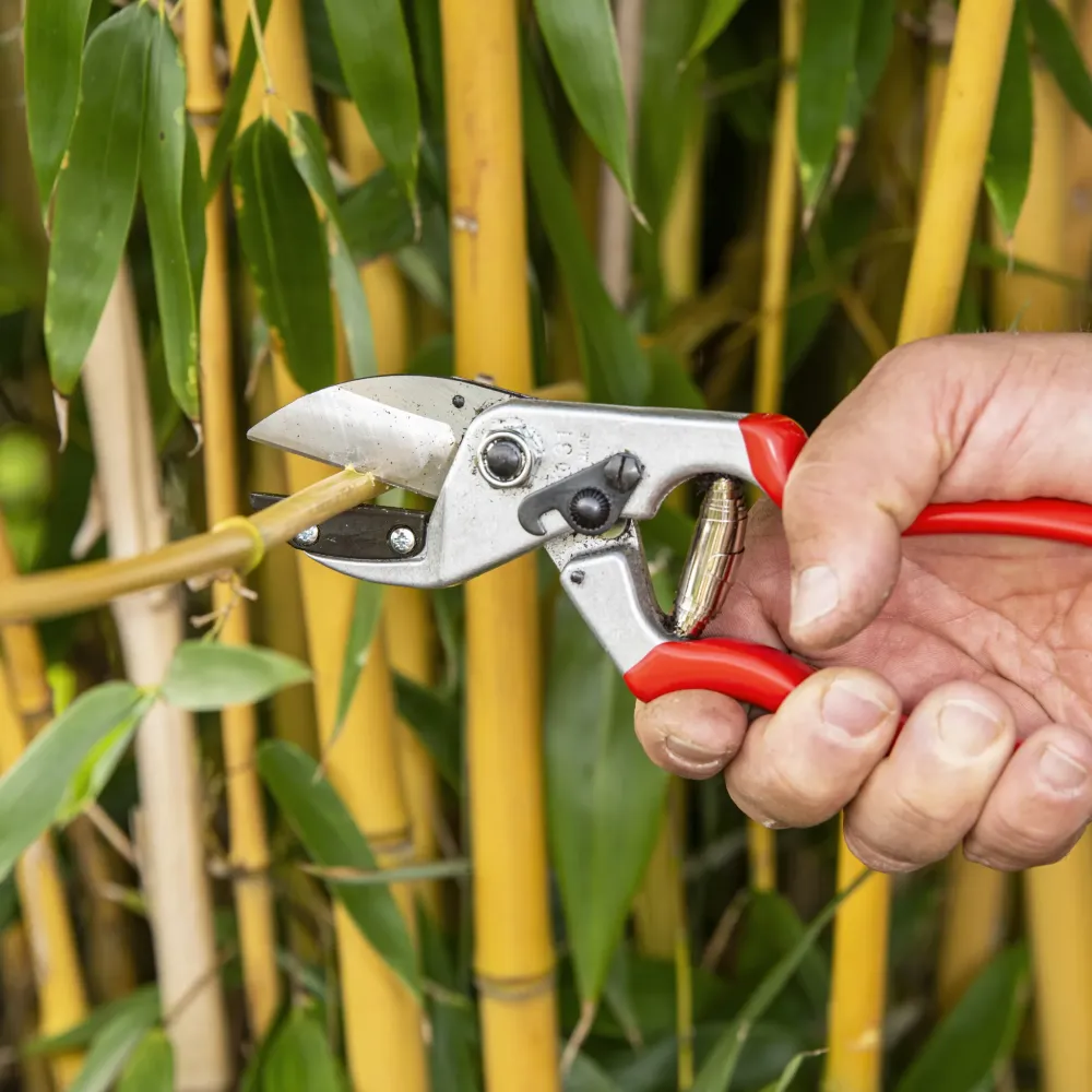 FELCO 31 Gartenschere kraftvoller Schnitt dicke Äste