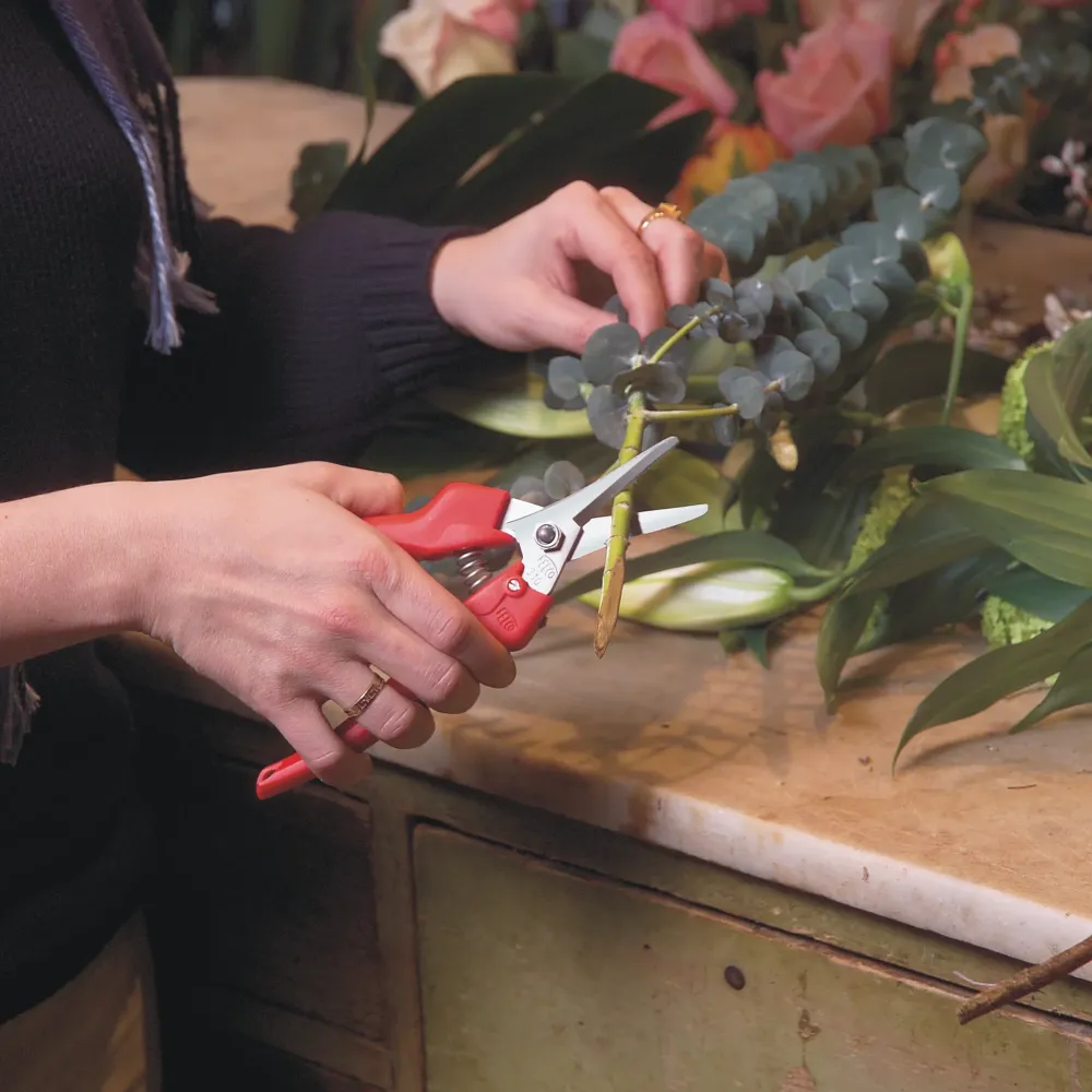 Preview: FELCO 310 Ernteschere beim Schneiden von Pflanzen