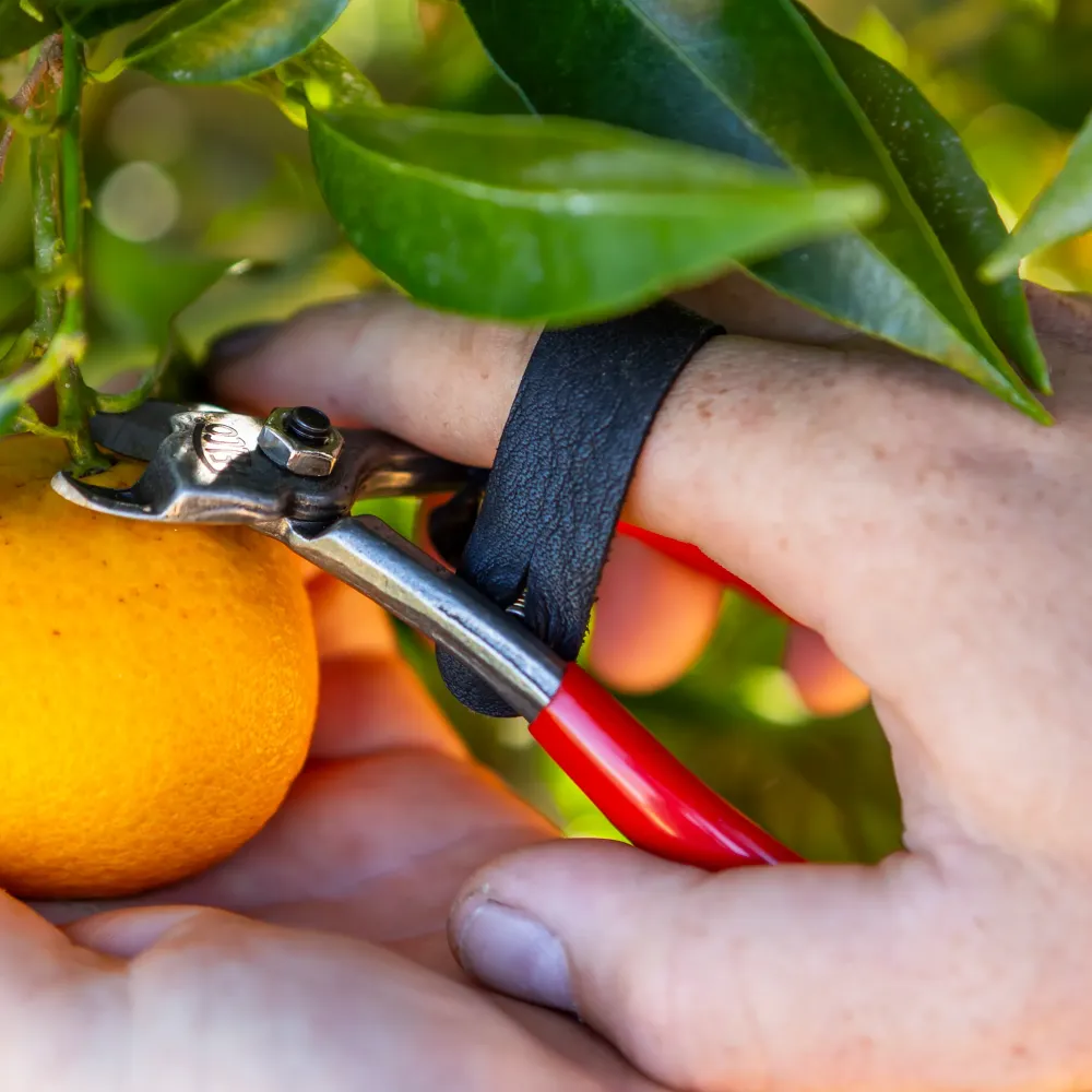 Preview: felco 330 obstschere ernte zitrusfrucht