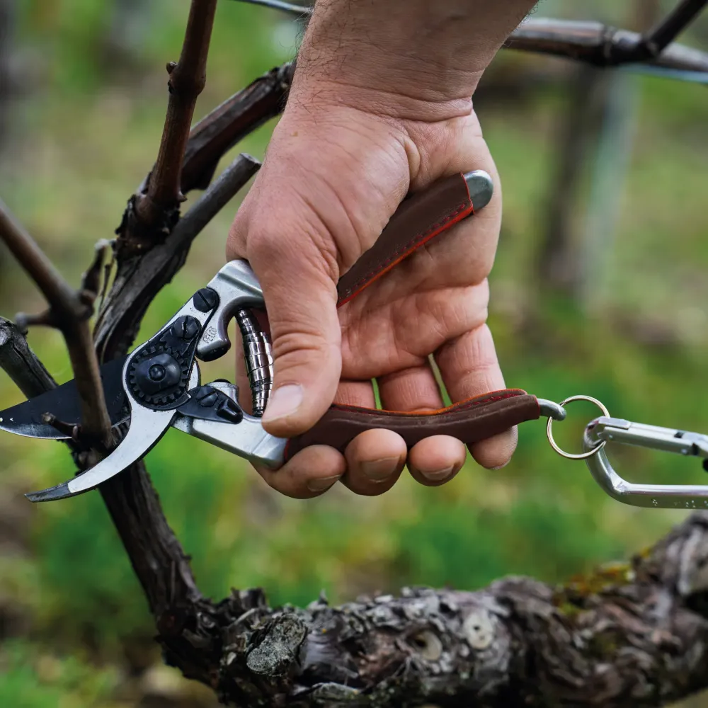 Preview: FELCO 6 Elite Gartenschere in der Hand – ergonomischer Ledergriff und präzise Schneidtechnik im Einsatz