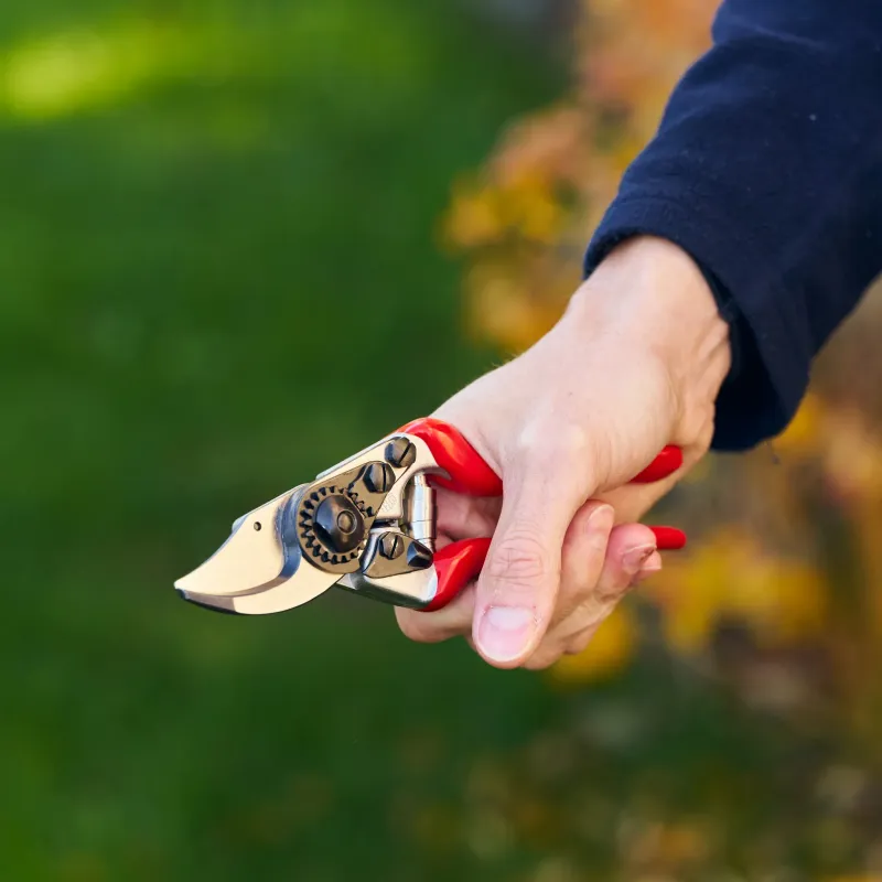 FELCO 6 Gartenschere Anwendung im Garten