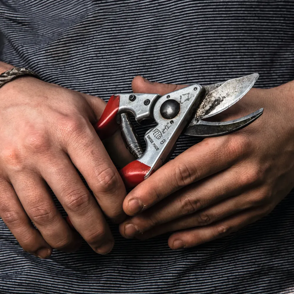 FELCO 8 ergonomischer Griff große Hände Gartenschere