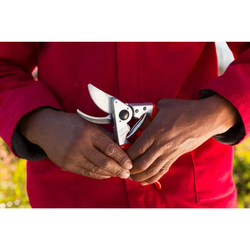Preview: FELCO 9 Gartenschere ergonomischer Einsatz im Garten
