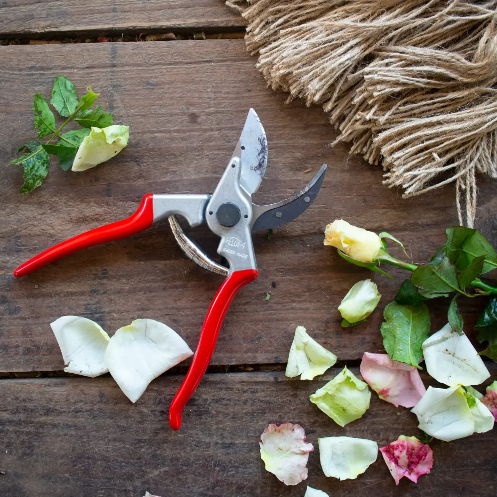 Sauberer Schnitt mit der FELCO 4 Gartenschere