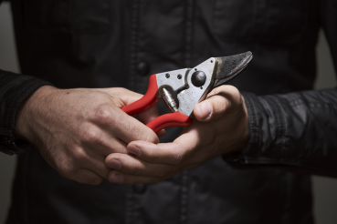 FELCO 6 Gartenschere - in der Hand