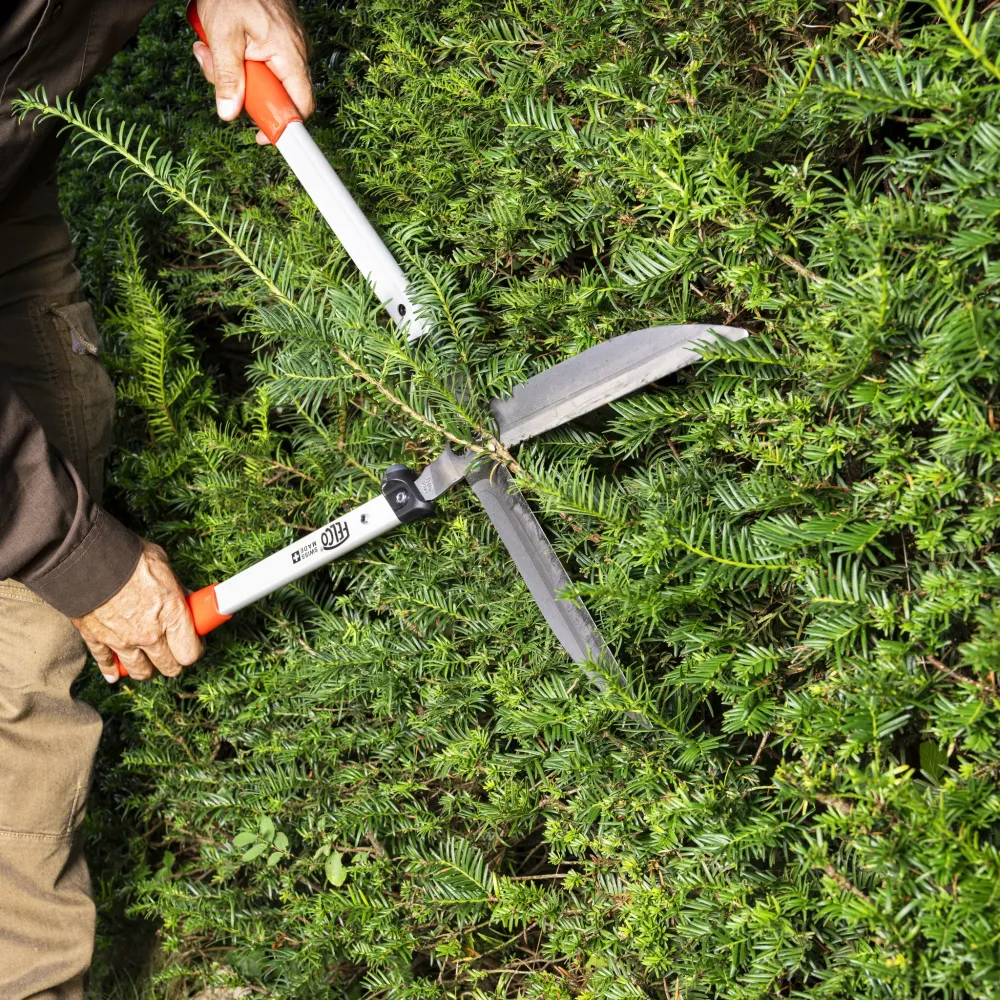 FELCO 250-57 Heckenschere im Einsatz Heckenschnitt