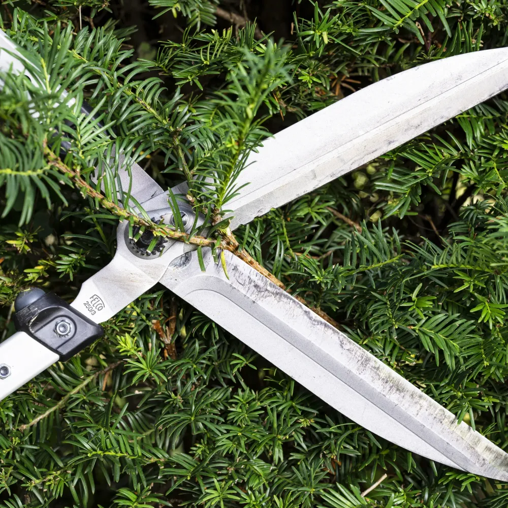 Preview: FELCO 250-57 Heckenschere Klinge Detail