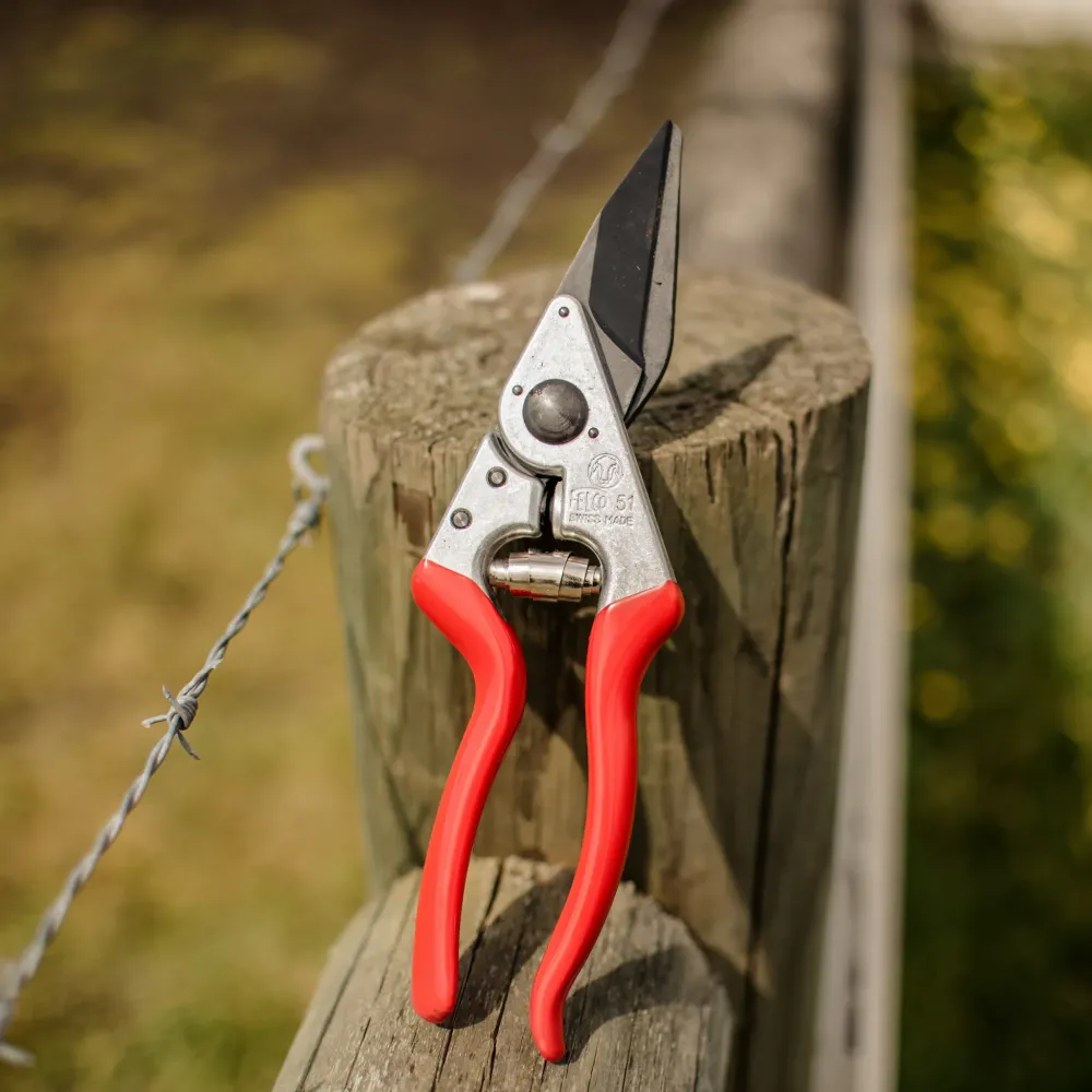 Preview: felco 50 klauenschere detailaufnahme robustes schneidwerkzeug