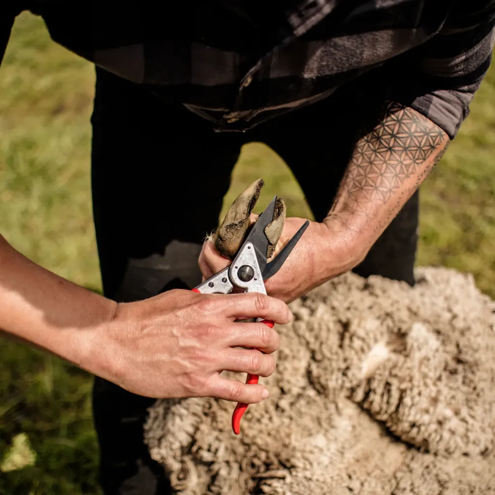 Preview: felco 50 klauenschere professionelle klauenpflege nutztiere