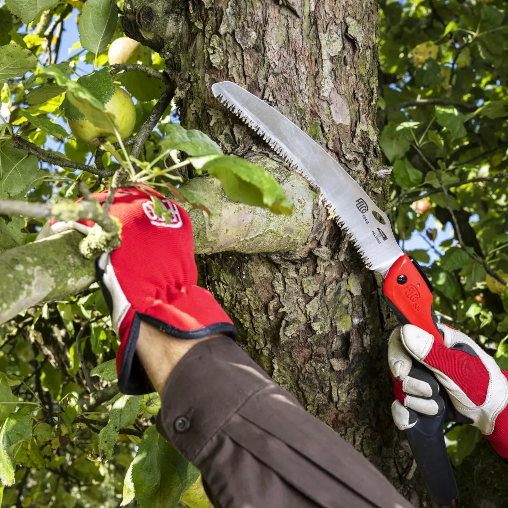 FELCO 604 Klappsäge im Einsatz am Baum
