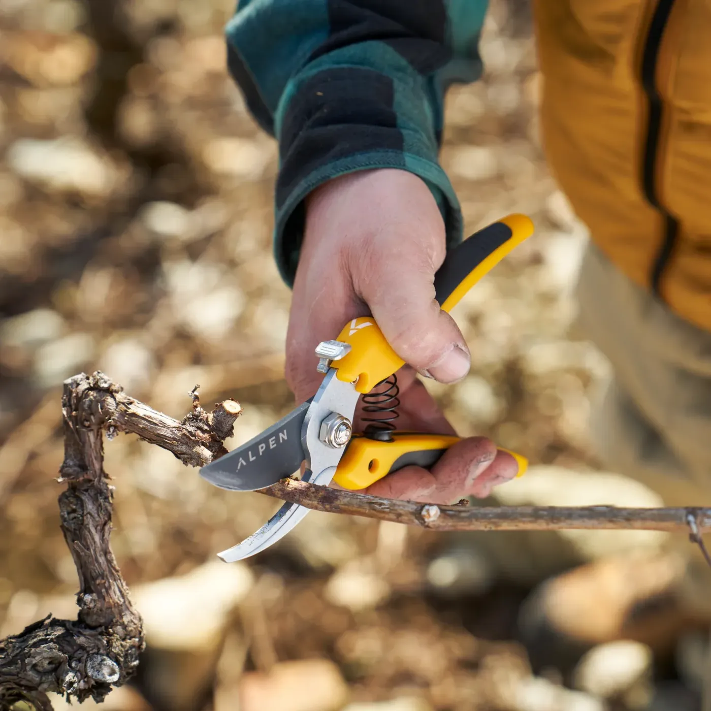 ALPEN Gelbhorn 140 Gartenschere Rebschnitt Anwendung