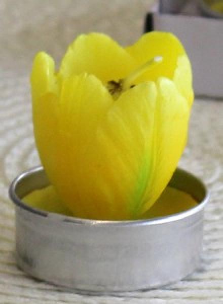 Teelichte Blume 6 Stück 4x4x4.7cm gelb
