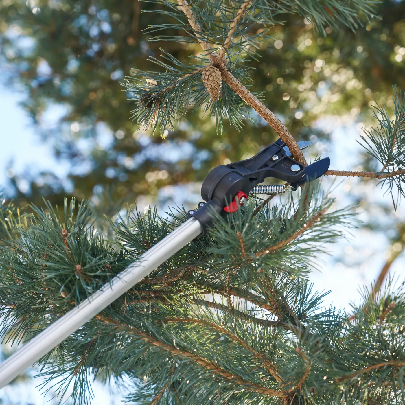 FELCO 290 Astschere im professionellen Einsatz