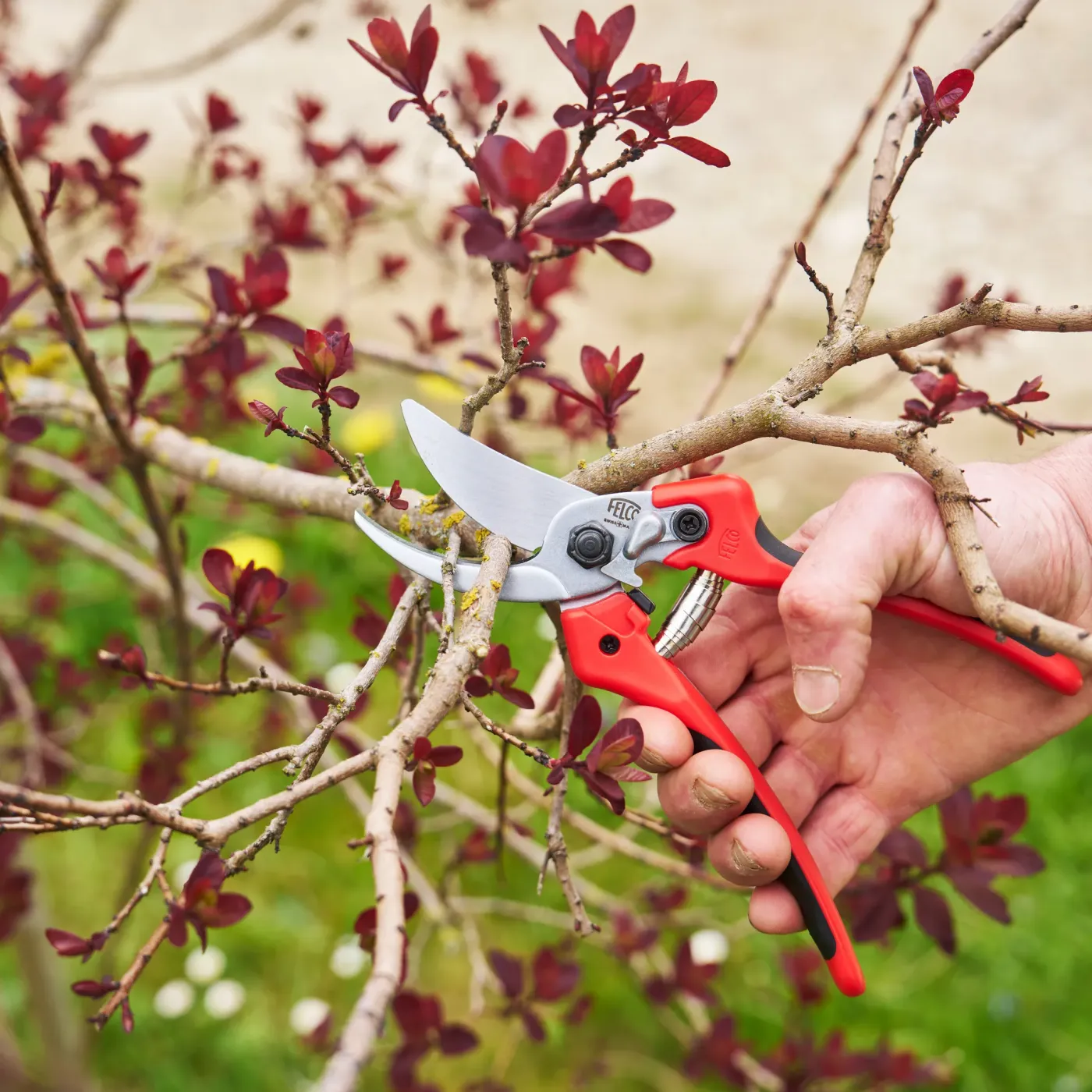 FELCO 171M Profi Rebschere – präzise Schnitte im Weinbau