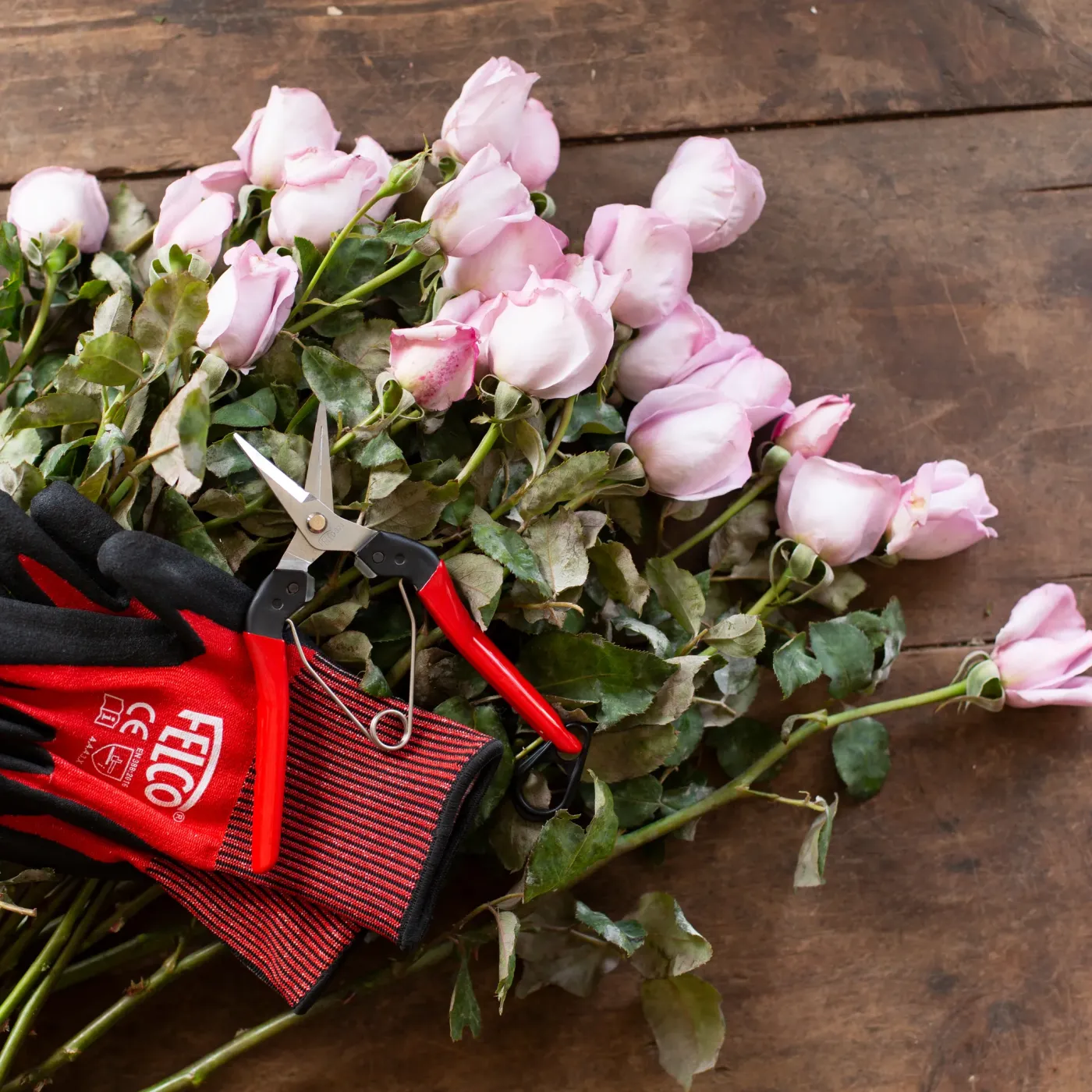 FELCO 321 Ernteschere beim Schneiden von Blüten