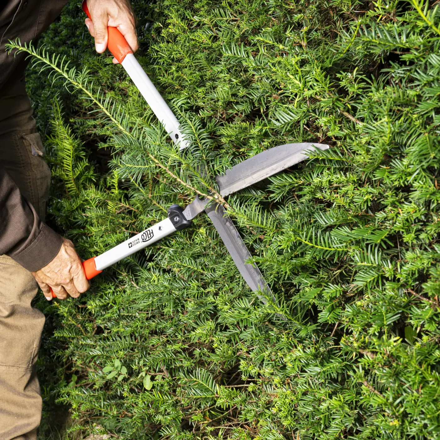 FELCO 250-57 Heckenschere im Einsatz Heckenschnitt